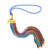 Rainbow tassel with gold 2025 year date